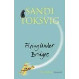 Flying Under Bridges