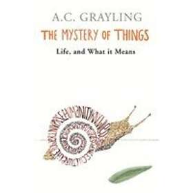 The Mystery of Things