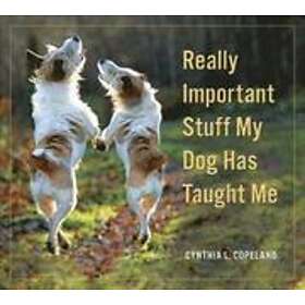 Really Important Stuff My Dog Has Taught Me