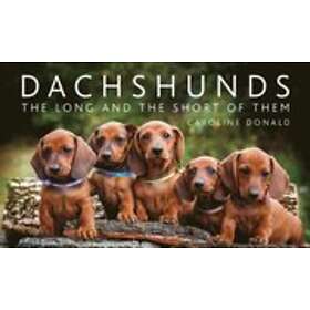 Dachshunds