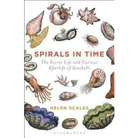 Spirals in Time
