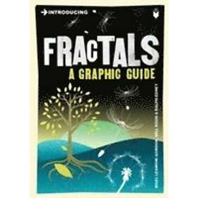 Introducing Fractals