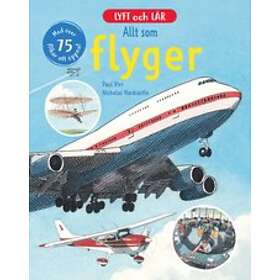 Allt som flyger