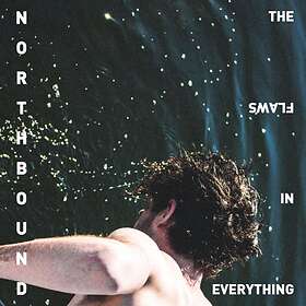 Northbound Flaws In Everything CD