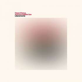 Dawn Chorus And The Infallible Sea Liberamente CD