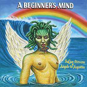 Sufjan Stevens A Beginner's Mind CD