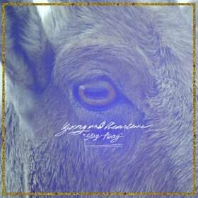 Young And Heartless Stay Away CD