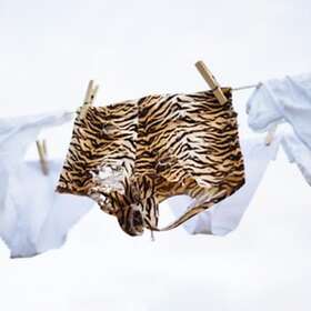 Los Bengala Incluso Festivos CD