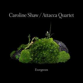 Caroline Shaw Shaw: Evergreen CD