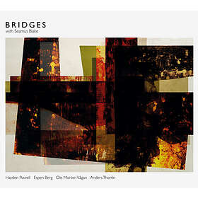 BRIDGES With Seamus Blake CD