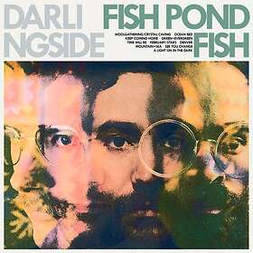 Darlingside Pond CD