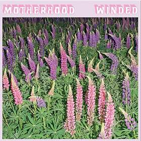 Morterhood Winded CD