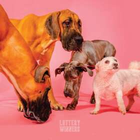 The Lottery Winners CD