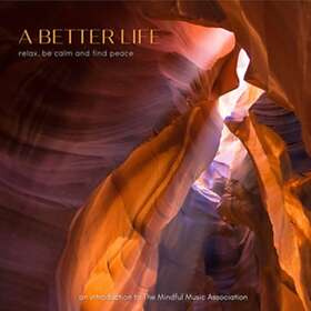 Artister A Better Life CD