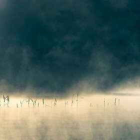 Oneirogen Convivium CD