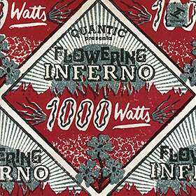 Quantic 1000Watts CD