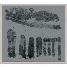 Bill Wells Viaduct Tuba Trio Plays The Music Of CD