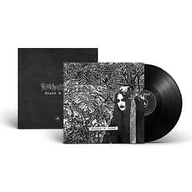 Këkht Aräkh Night & LP