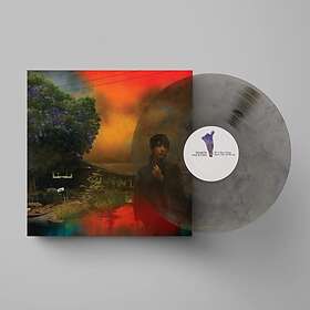 Sharon Van Etten We've Been Going About This All Wrong Limited Edition LP