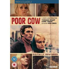 Studio Canal (Optimum) Poor Cow [1967] (DVD)