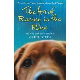 ART OF RACING IN THE RAIN