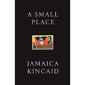 A Small Place