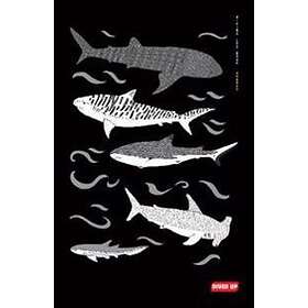 : Diving Log Book