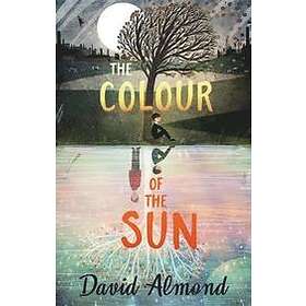 David Almond: The Colour of the Sun