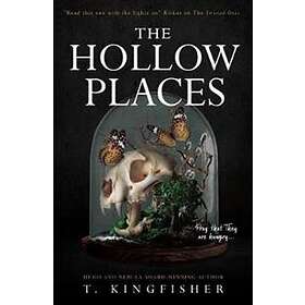 T Kingfisher: The Hollow Places