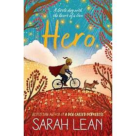 Sarah Lean: Hero