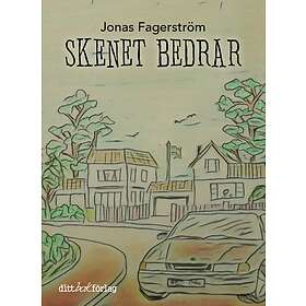 Jonas Fagerström: Skenet bedrar