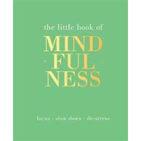 Tiddy Rowan: The Little Book of Mindfulness