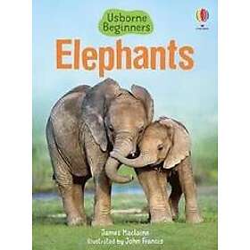 James MacLaine: Elephants
