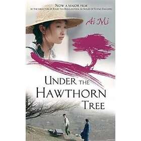 Ai Mi: Under The Hawthorn Tree