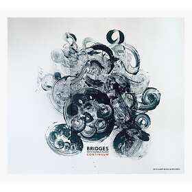 BRIDGES With Seamus Blake Continuum CD