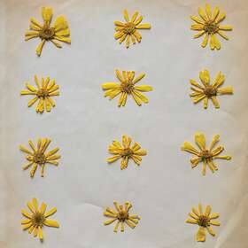 The Molochs In Spring CD
