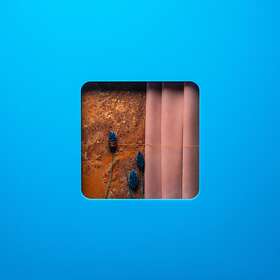 Modern Error Victim Of A Age CD