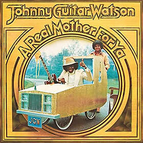 Johnny Guitar A Real Mother For Ya LP