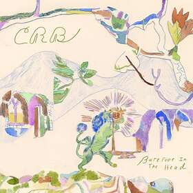 Chris Robinson Barefoot In The Head LP