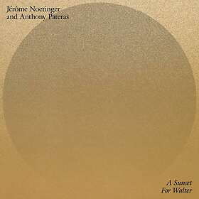 Jerome Noetinger & Anthony Pateras A Sunset For Walter LP