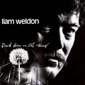 Liam Weldon Dark Horse On The Wind CD