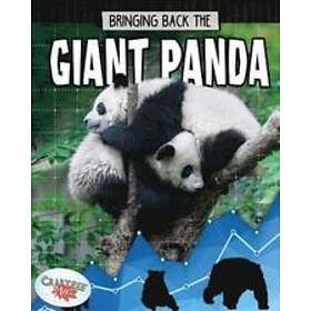 Paula Smith: Giant Panda