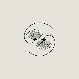 You Black Emperor! G_D's Pee AT STATE's END! LP