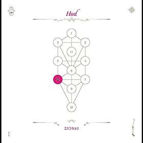 Zion80 Book Beri'ah Vol 8-Hod CD