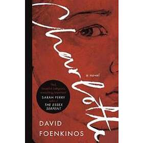 David Foenkinos: Charlotte