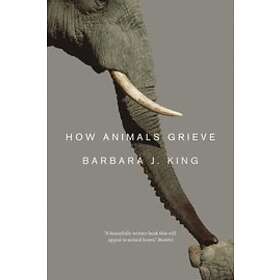 Barbara J King: How Animals Grieve