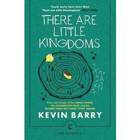 Kevin Barry: There Are Little Kingdoms