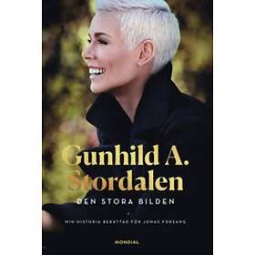 Gunhild A Stordalen, Jonas Forsang: Den stora bilden