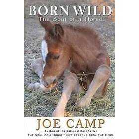 Joe Camp, Kathleen Camp: Born Wild The Soul of a Horse