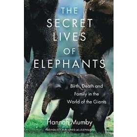 Hannah Mumby: The Secret Lives of Elephants